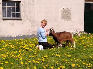 HollingstedtHof Ruemland Ferienwohnungen的和山羊一起坐在田野中的女人