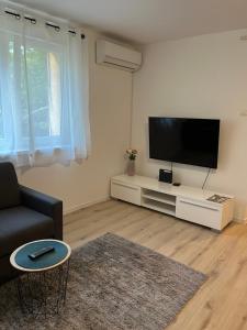 奥西耶克Apartment VBK Osijek的客厅配有平面电视和沙发。