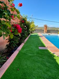 卡涅利亚斯Villa Belephant Sitges的绿草庭院和游泳池