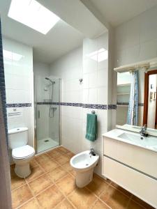 埃尔戈尔福Maresía Apartamento的浴室配有卫生间、淋浴和盥洗盆。