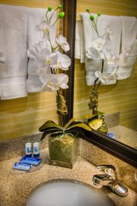 斯特灵杜勒斯机场费尔菲尔德客栈的浴室水槽,配有镜子和植物