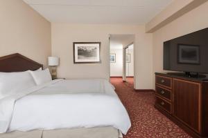 霍夫曼庄园芝加哥西北万豪酒店的配有一张床和一台平面电视的酒店客房