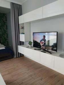 维什库夫Maestro的客厅设有壁挂式平面电视。