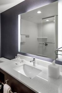 皮奥里亚Residence Inn by Marriott East Peoria的一间带水槽和大镜子的浴室