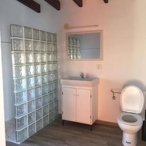 圣弗朗西斯科哈维尔CAN JAUME D’EN PEP MIQUEL的一间带卫生间、水槽和镜子的浴室