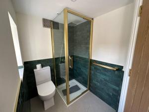 克朗梅尔Murphy's Mountain Cottage的一间带卫生间和玻璃淋浴间的浴室