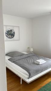 弗罗伊登施塔特East View的卧室内的白色床,设有白色的墙壁