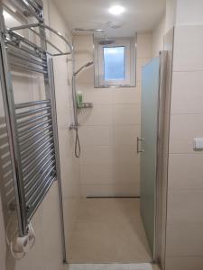 利贝雷茨马塞拉利贝雷茨公寓的浴室里设有玻璃门淋浴