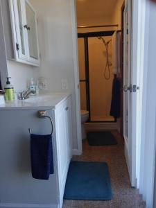 圣地亚哥SHARED TOWNHOUSE in MISSION BEACH的设有带水槽和卫生间的浴室以及蓝色地毯。