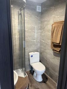 SamostrelyBastion的一间带卫生间和玻璃淋浴间的浴室