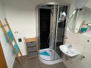 博尔库姆Huus Borkum的带淋浴、盥洗盆和镜子的浴室