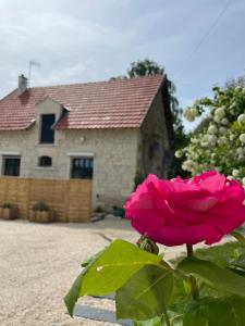 ChâteauvieuxLe Relais, La Dormance, Le Bois Dormant的坐在房子前面的粉红色玫瑰