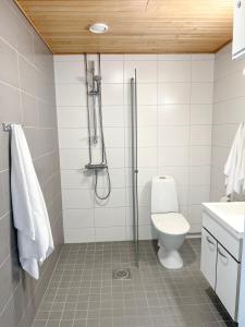 奥卢Studio Apartment Station的带淋浴和卫生间的浴室