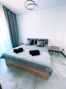 博茨科沃Apartament 101 Aquarius Boszkowo的一间卧室配有一张大床和两个枕头