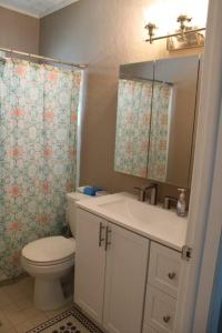 夏洛特港Pool house in Port Charlotte的浴室配有卫生间、盥洗盆和淋浴。