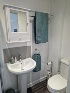 PlumtreeBunny Lodge - Garden view & free parking的一间带水槽、卫生间和镜子的浴室