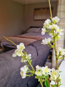 PlumtreeBunny Lodge - Garden view & free parking的睡前白色花瓶