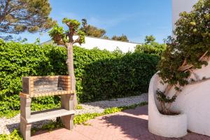 卡拉布兰卡Apartamentos Menorca MONSINES 13C By Mauter Villas的树 ⁇ 旁木箱里的一棵小树