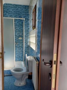 普雷代亚尔Vila Oltețul的一间带卫生间和玻璃淋浴间的浴室
