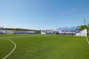 利沃夫Готель Динамо的绿色草地和目标的足球场