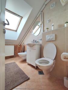 诺维萨德Apartman NS Dan FREE PARKING的一间带卫生间、水槽和窗户的浴室