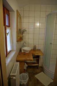 ŠupljakMagdi vendégház的一间带水槽和镜子的小浴室