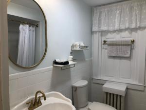 布里斯托尔威廉格兰特住宿加早餐酒店的一间带水槽、卫生间和镜子的浴室