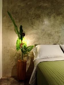 博卡斯德尔托罗Casa Salvaje Vacation Rentals的一间卧室配有一张床和盆栽植物