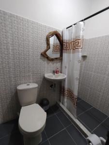 菲兰迪亚Hostal Casa Madrigal的浴室配有卫生间、盥洗盆和淋浴。