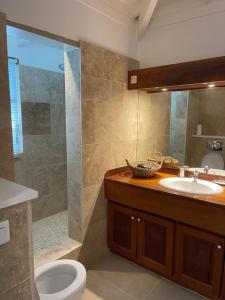 东方湾法国大街Mahi-Mahi Lodge, piscine privee, orient bay的带淋浴、卫生间和盥洗盆的浴室