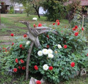 ŠupljakMagdi vendégház的花花园里的鸟雕像
