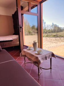 Mamucia Chata的客房设有桌子、窗户和床。