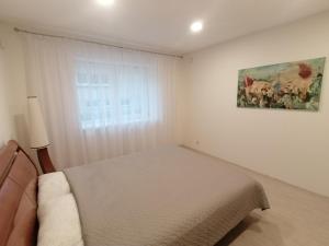 RamučiaiAntonio house的卧室配有一张床,墙上挂有绘画作品