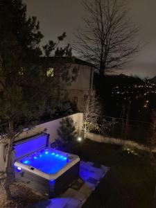 布拉索夫The Pines Boutique Villa的夜晚在院子里有一个灯光蓝色的游泳池