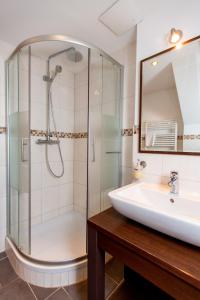 普劳西Hotel und Restaurant Haus Sajons的带淋浴、盥洗盆和镜子的浴室