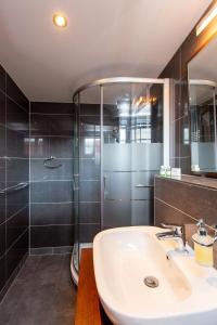 普劳西Hotel und Restaurant Haus Sajons的一间带水槽和淋浴的浴室
