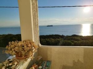 拉斐那Indigo的享有大海和船只景致的窗户