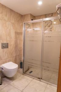 伊斯坦布尔LARA HOTEL的带淋浴和卫生间的浴室