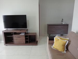 巴纳内拉斯Bananeiras locações por temporada e acomodações的带沙发和平面电视的客厅