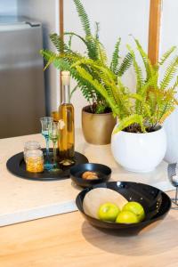拉巴克Porto Albona的一张桌子,上面有两盘食物和植物
