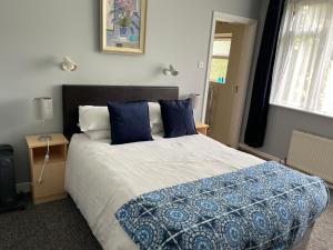 麦克鲁姆喷泉之家住宿加早餐旅馆的一间卧室配有一张带蓝色枕头的大床