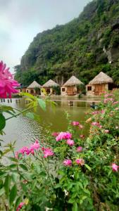 Xuân SơnHang Mua Eco Garden的池塘前的一群小屋和花
