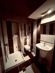 帕拉塔蒙Olympus and Sea View Apartment的一间带水槽、卫生间和淋浴的浴室