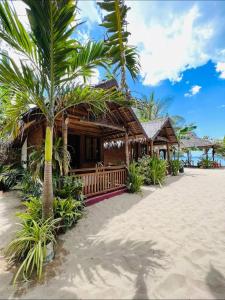 爱妮岛Zhaya's Beach & Cottages的棕榈树海滩上的度假村