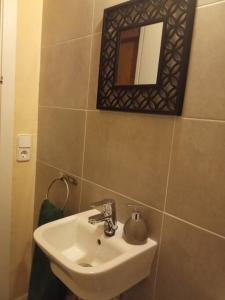圣洛伦索-德莫鲁尼斯Apartamento-Casa turística l'Espígol的一间带水槽和镜子的浴室