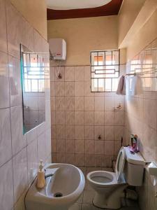 金贾Amaryllis homes , within city centre,near River Nile的一间带卫生间和水槽的浴室