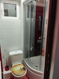 雅西casa Flav的一间带卫生间和玻璃淋浴间的浴室