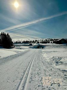 哈山New apartment Hafjelltoppen ski inout的雪地里一条有轮胎的雪道