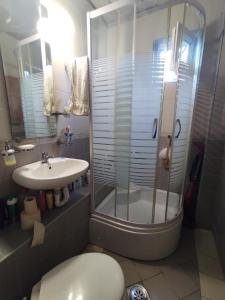 巴尔Apartmani Nikola的带淋浴、卫生间和盥洗盆的浴室