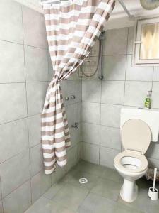 Qiryat H̱ayyimПрекрасная квартира на берегу Средиземного моря的一间带卫生间和淋浴帘的浴室